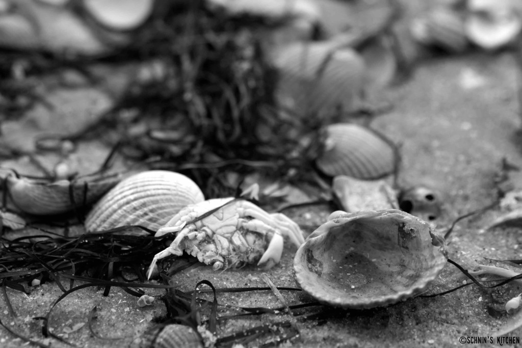 view Understanding Our Universe